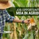 Jobs After MBA Agribusiness
