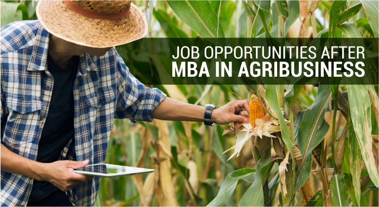 Jobs After MBA Agribusiness
